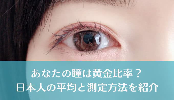 【瞳の黄金比率】美しい白目と黒目のバランスは？